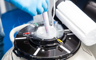 Frozen embryo transfers linked